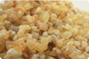 Boswellia Frereana Olibanum (Mujarwal & Fas – Xabag Maydi)